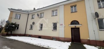 Mieszkanie na parterze po generalnym remoncie