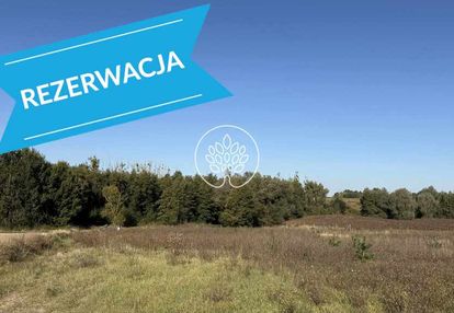 Prawie pół hektara szczutki - warunki zabudowy