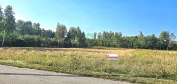 Działka w otoczeniu lasów
