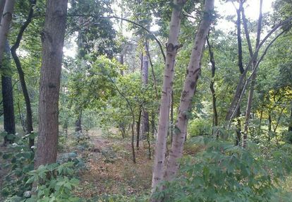 Działka pod zabudowę jednorodzinną