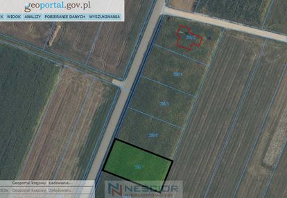 Działka budowlana z wz – ul. ogrodowa, wiśniew