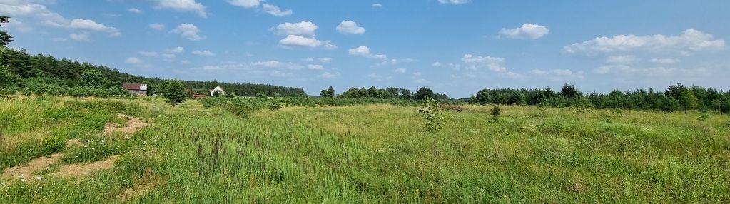 Serski las, płaska, działka budowlana