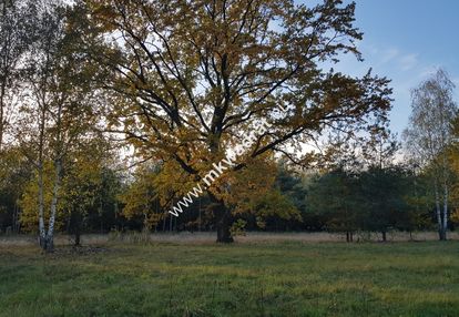 ⭐⭐⭐⭐⭐ urokliwa działka makówka 1600m ⭐⭐⭐⭐⭐