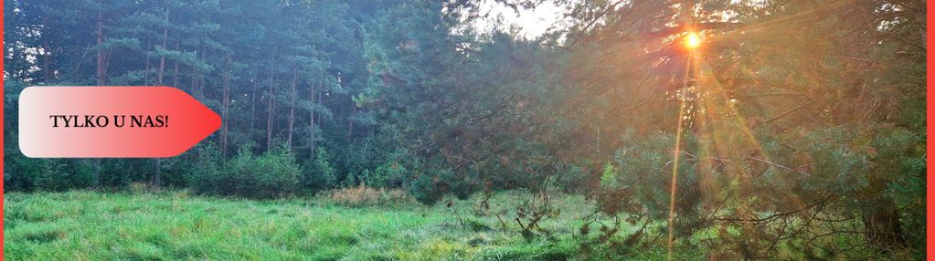 Tylko u nas! działka rolna z pięknym zadrzewieniem