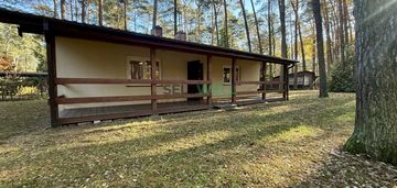 Rezerwacja domek w malowniczej sokolniki - las