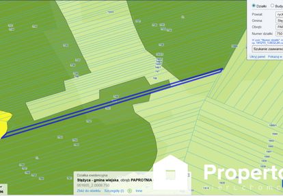 Działka leśna 6400 m²  – paprotnia, gm. stężyca