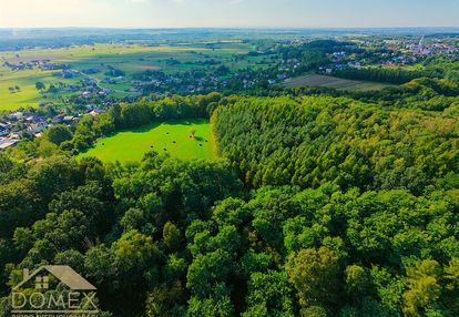Las i łąka na sprzedaż | bełsznica