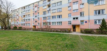 Przytulne i jasne mieszkanie z widokiem na zieleń