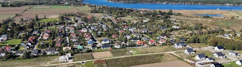 Duża, uzbrojona, płaska, słoneczna! wiślinka!