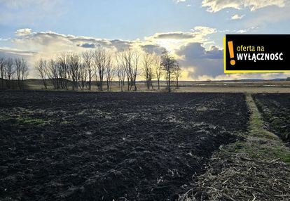 Działka rekreacyjna górki koło wiślicy