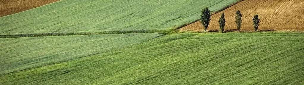 Sprzedam działkę rolną Górki Baćki 10000 m2