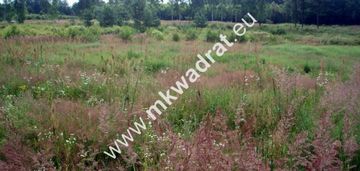 Duża działka budowlana 4 km od mszczonowa