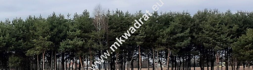 Strzeniówka dobra lokalizacja, media