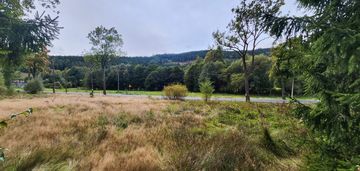 Działka budowlana w jarkowicach z widokiem na las