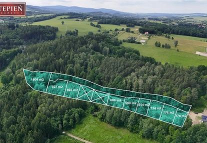 Działka mieszkalno - usługowa w wojcieszycach