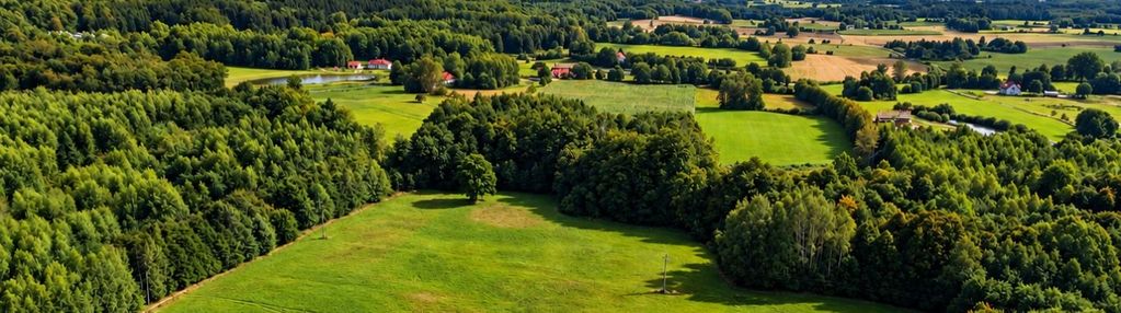 16 działek z wz  jurki k. morąga od 1175 m²