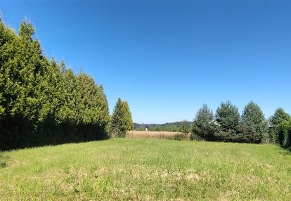 Grodziec gmina jasienica działka budowlana