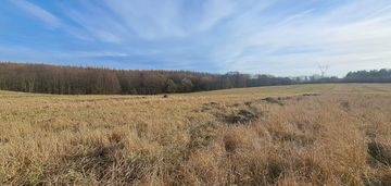 Wyjątkowy teren 3,85 ha | trąbki małe