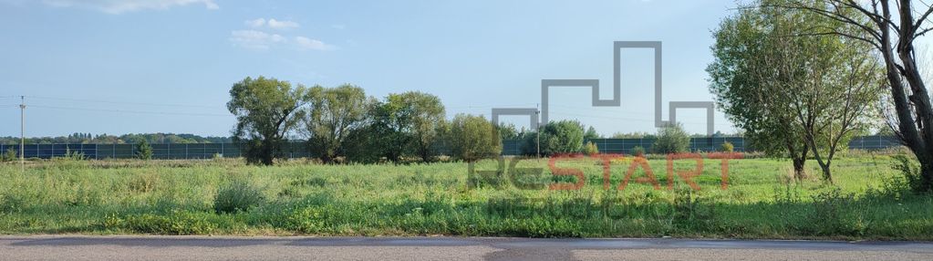 Działka 6 600 m żuków