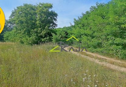 Urokliwie położona działka z lasem i stawem