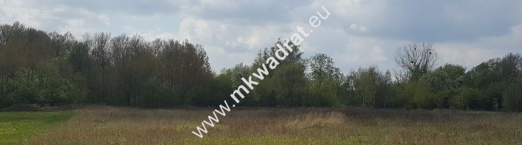 Bardzo atrakcyjna działka w centrum nadarzyna.