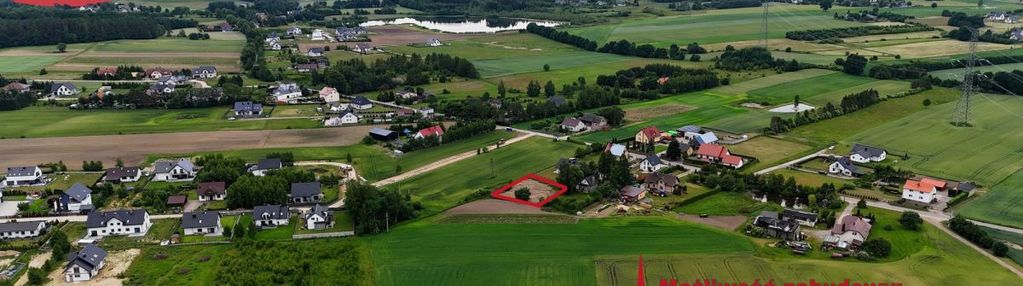 Uzbrojona, płaska, słoneczna, kameralna -przyjaźń