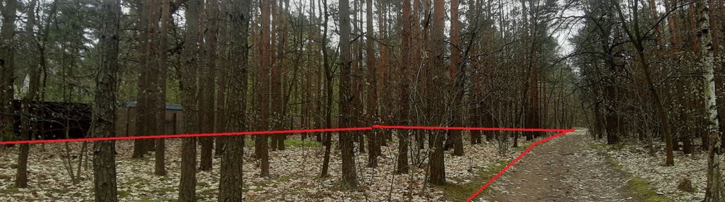 Działka w międzylesiu pod bud. jednorodzinny