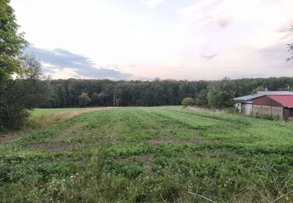 Działka z widokiem na las, Gałkówek Kolonia