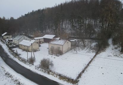 Zielona przystań dom w cichej i spokojnej okolicy