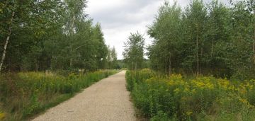 3381 m² pod dom lub inwestycję /park krajobrazowy