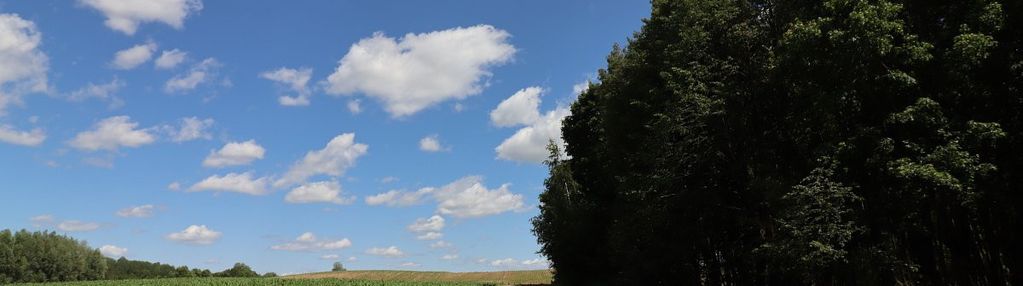 Działka budowlana na mazurach rożyńsk wielki