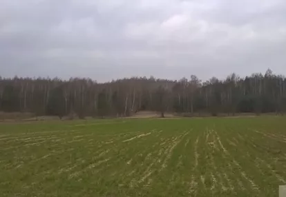 Działka na sprzedaż 6000m2