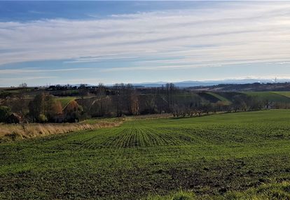 Widokowa, atrakcyjna, 24,5 ar, młodziejowice
