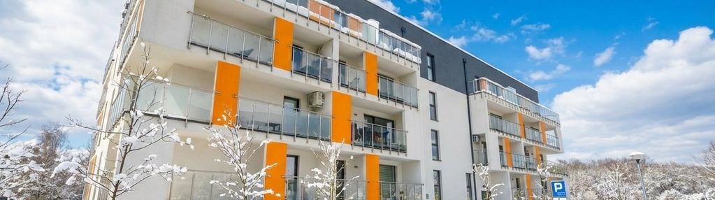 Mieszkanie do wynajęcia dąbrowa górnicza gołonóg