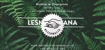 Działka z widokiem na las, obok vilpark