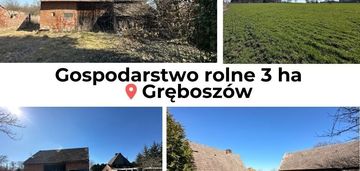 Dom z polem na sprzedaż, ponad 3 ha, gręboszów