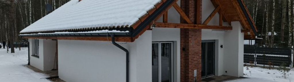 Klimatyczny dom w sercu lasu | borowiny