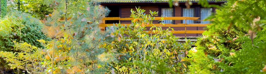 Działka leśna|domek rekreacyjny|woda|prąd|szambo