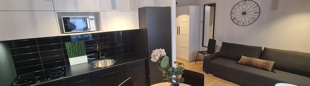 Piękny apartament typu studio na wynajem