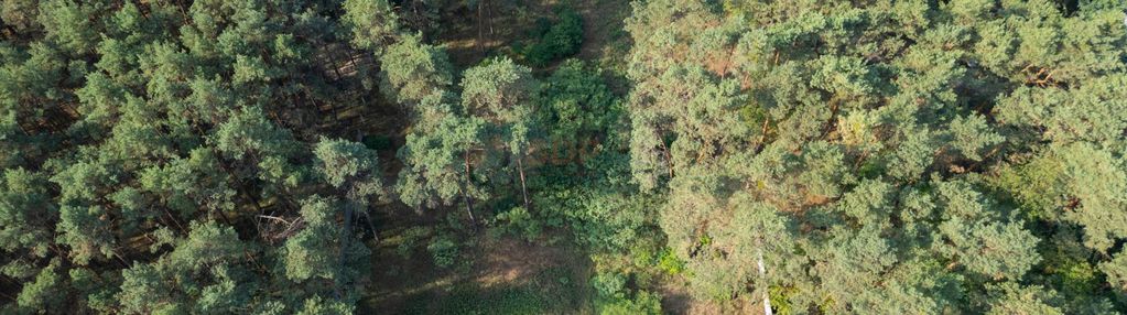 Działka usługowa przy ul. nadwiślańskiej, 2405 m2