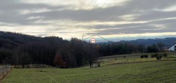 Działka leśna 1,63 ha hucisko nienadowskie