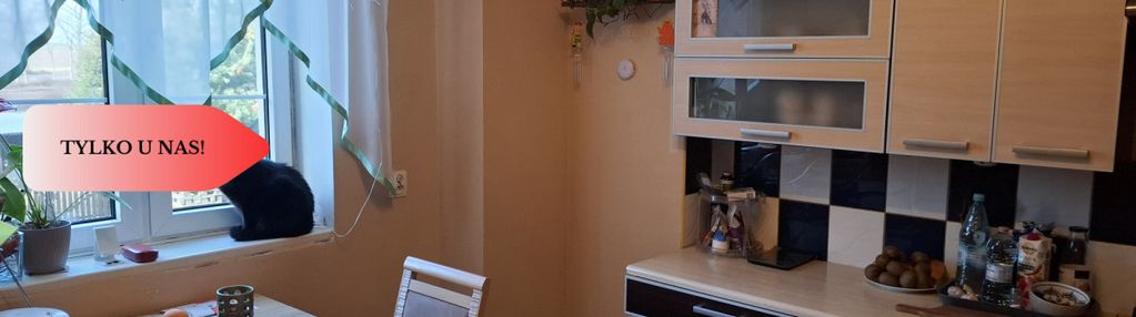 Okazja cenowa! m3 bezczynszowe 15 minut od legnicy