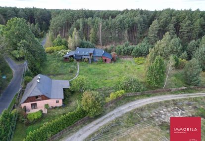 Siedlisko | 2ha lasu | bory tucholskie