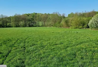 Działka na sprzedaż 4000m2