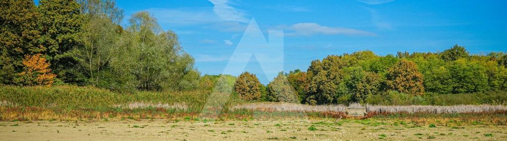 Działka w świetnej lokalizacji - warunki zabudowy.