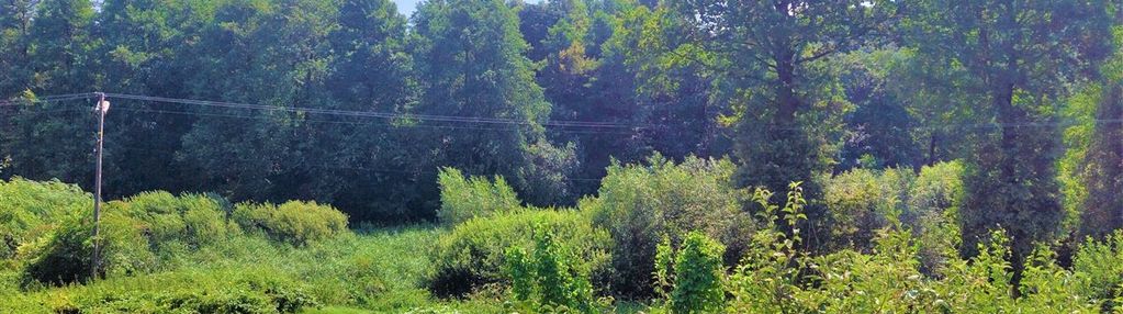 Działka z potencjałem mników 1,14 ha+19 a budowl.