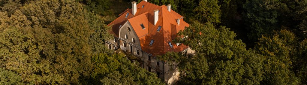 Zabytkowy pałac z parkiem – wilków, woj. opolskie