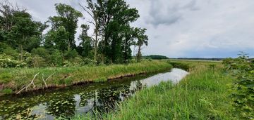 Malownicze działki nad brzegiem rzeki-zielona góra