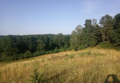 Działka na sprzedaż 246m2