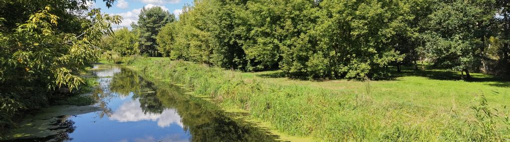 Działka w mieście Stargard Inwestycyjna Rekreacja